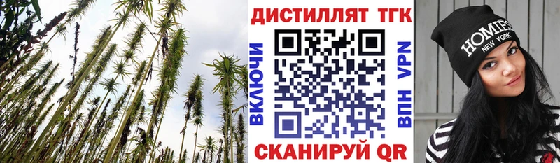 ТГК вейп  площадка как зайти  Плёс 